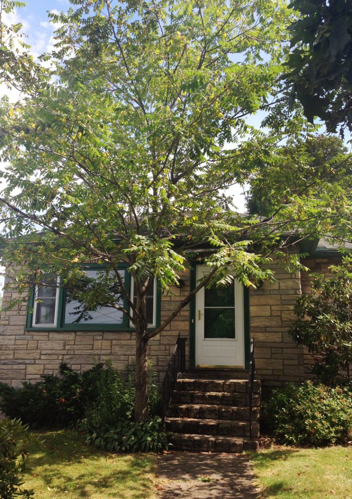 5 Bedroom House on Colchester Ave, Burlington, VT | Near UVM & UVM Medical Center | June 2027