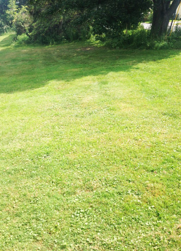 5 Bedroom House on Colchester Ave, Burlington, VT | Near UVM & UVM Medical Center | June 2027